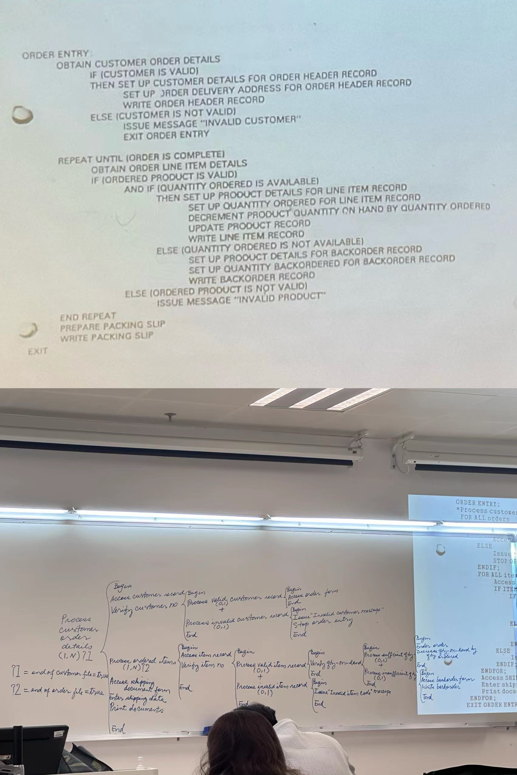 Please help me draw the Warner - Orr diagram, The