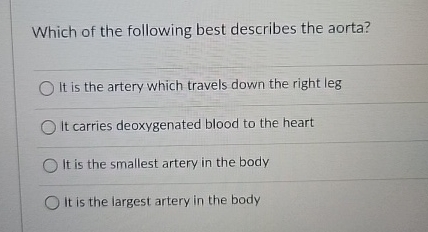 Which of the following best describes the aorta?