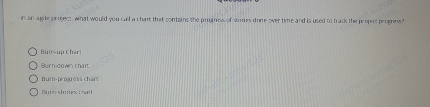 In an agile project, what would you call a chart