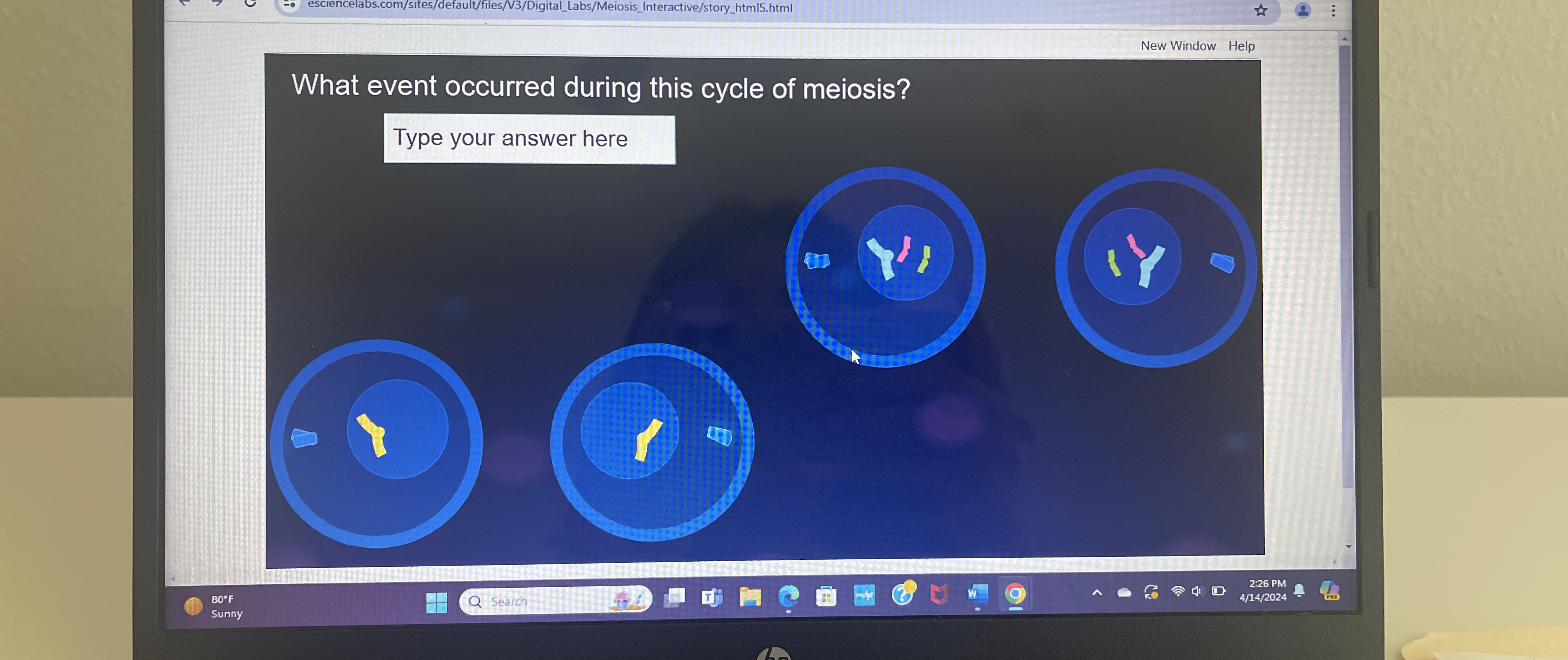 esciencelabs.com / sites / default / files / V 3