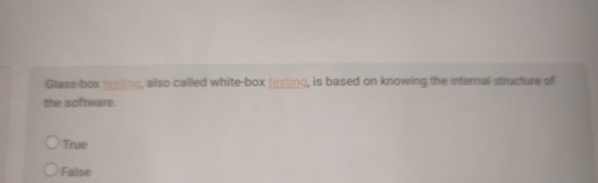 Glass box lesting also called white - box