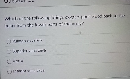 Which of the following brings oxygen - poor blood
