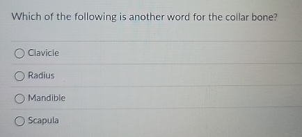 Which of the following is another word for the