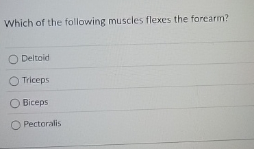 Which of the following muscles flexes the