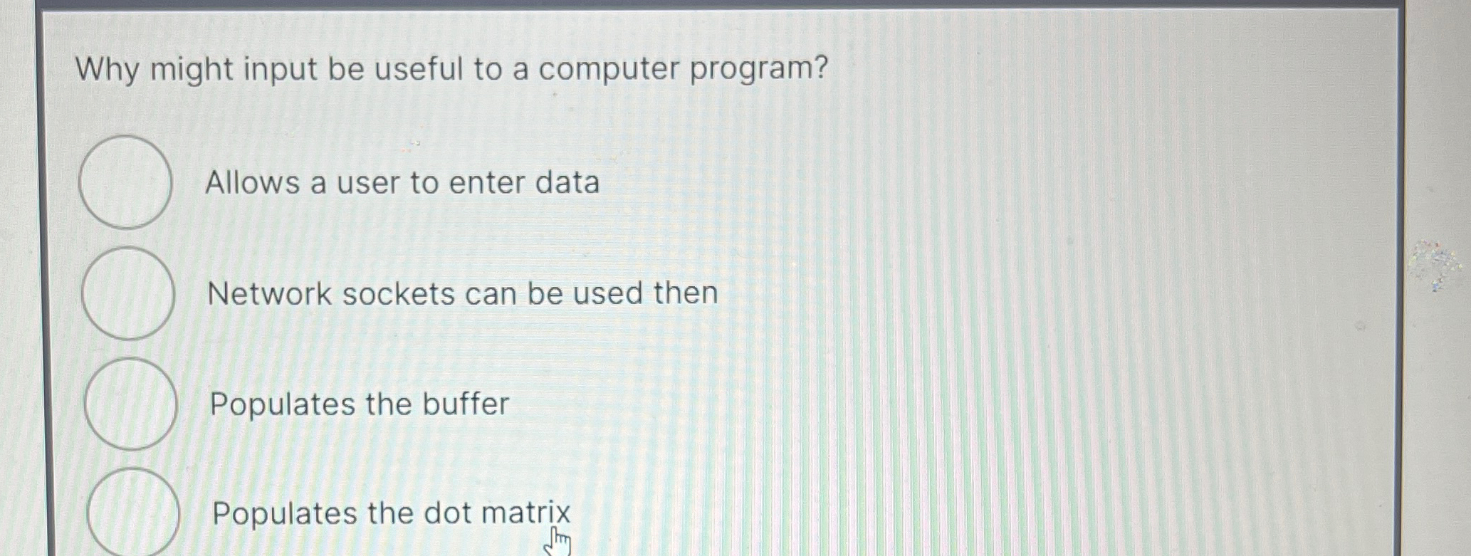 Why might input be useful to a computer program?