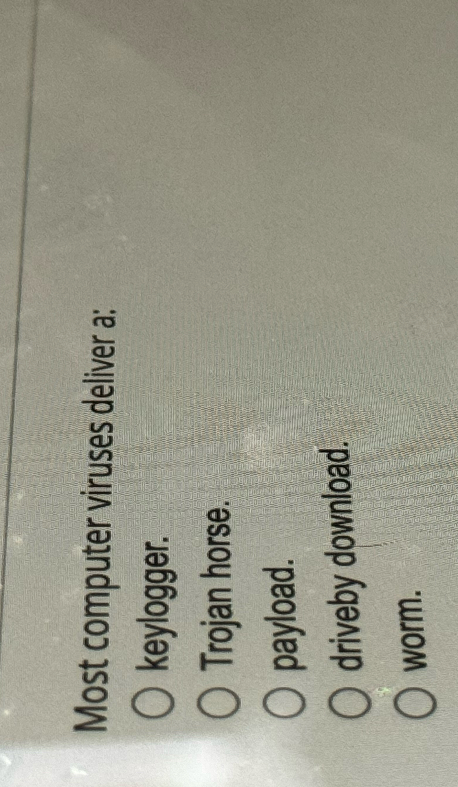 Most computer viruses deliver a: keylogger.