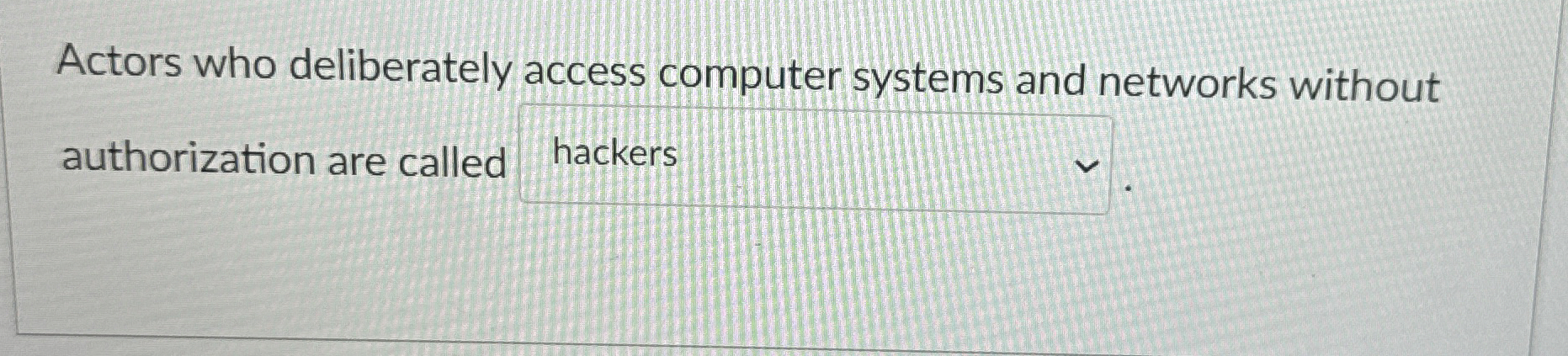 Actors who deliberately access computer systems