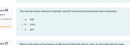 The domain name extension typically used for
