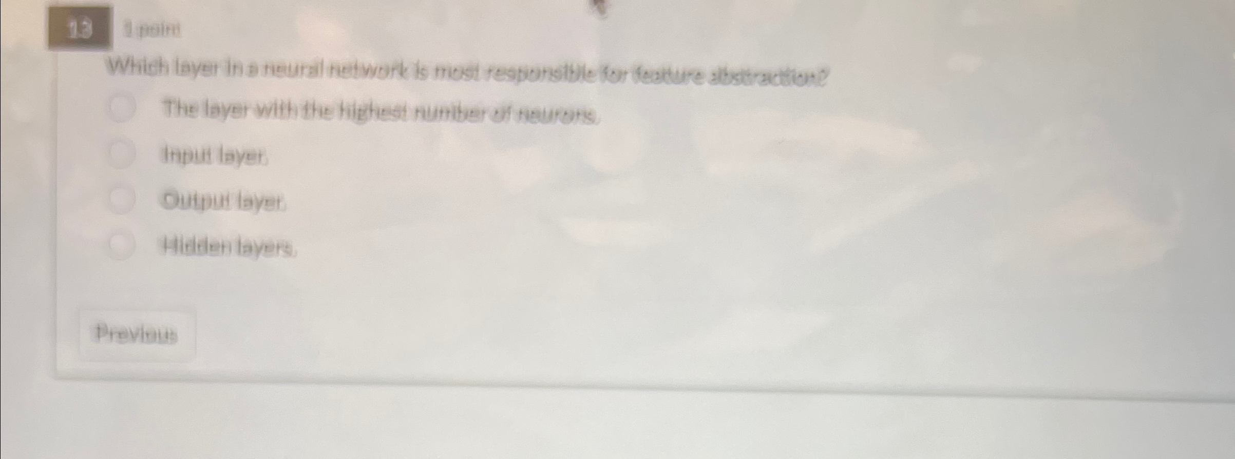 1 3 train Which layer in a heural hetwork is most