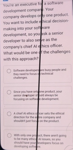 You're an executive fo a software development