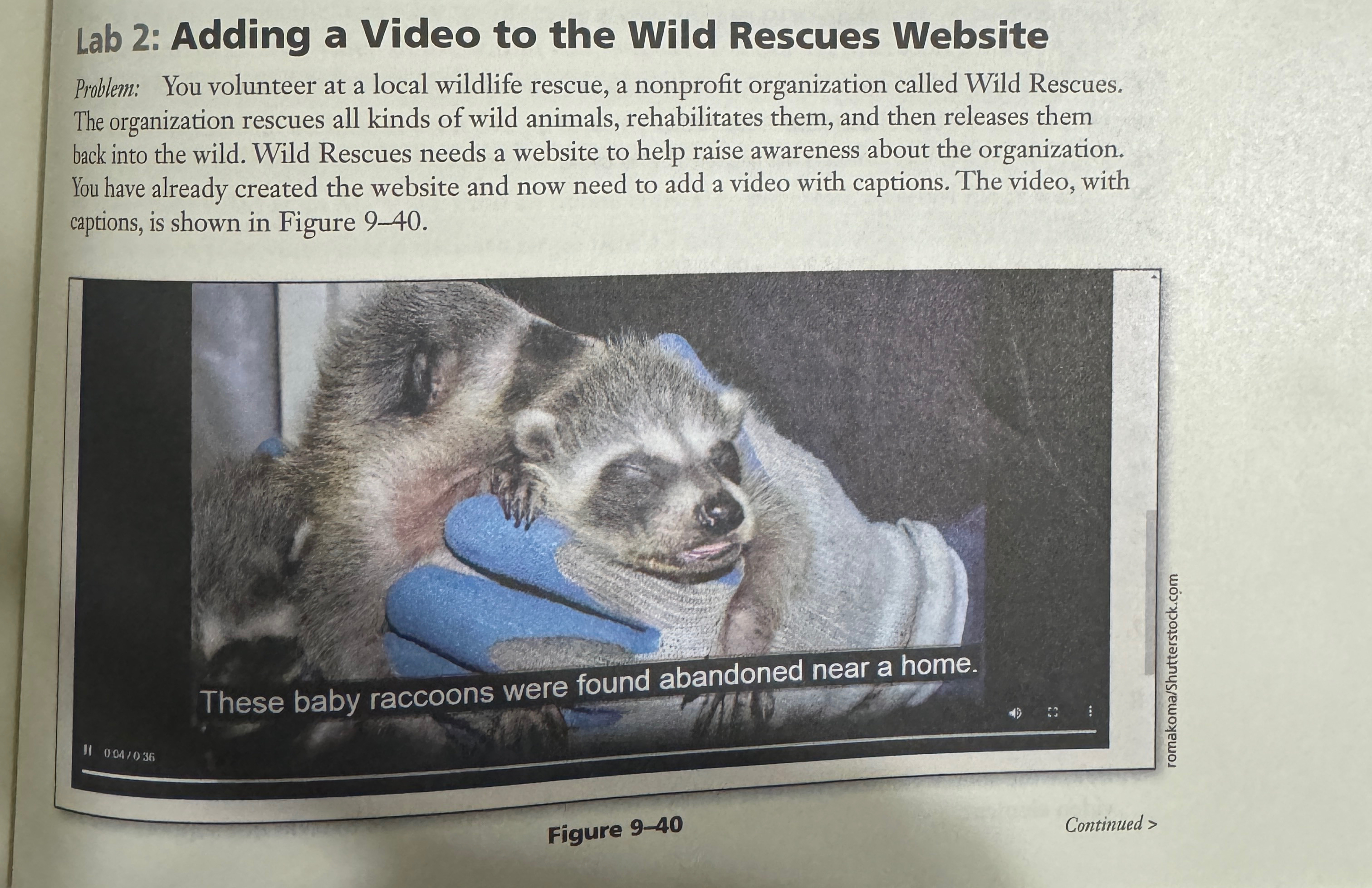 l o g as the type. Below the source element,