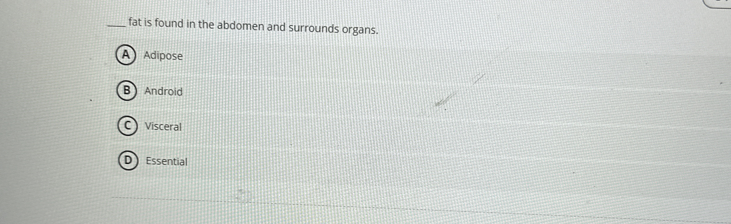 fat is found in the abdomen and surrounds organs.
