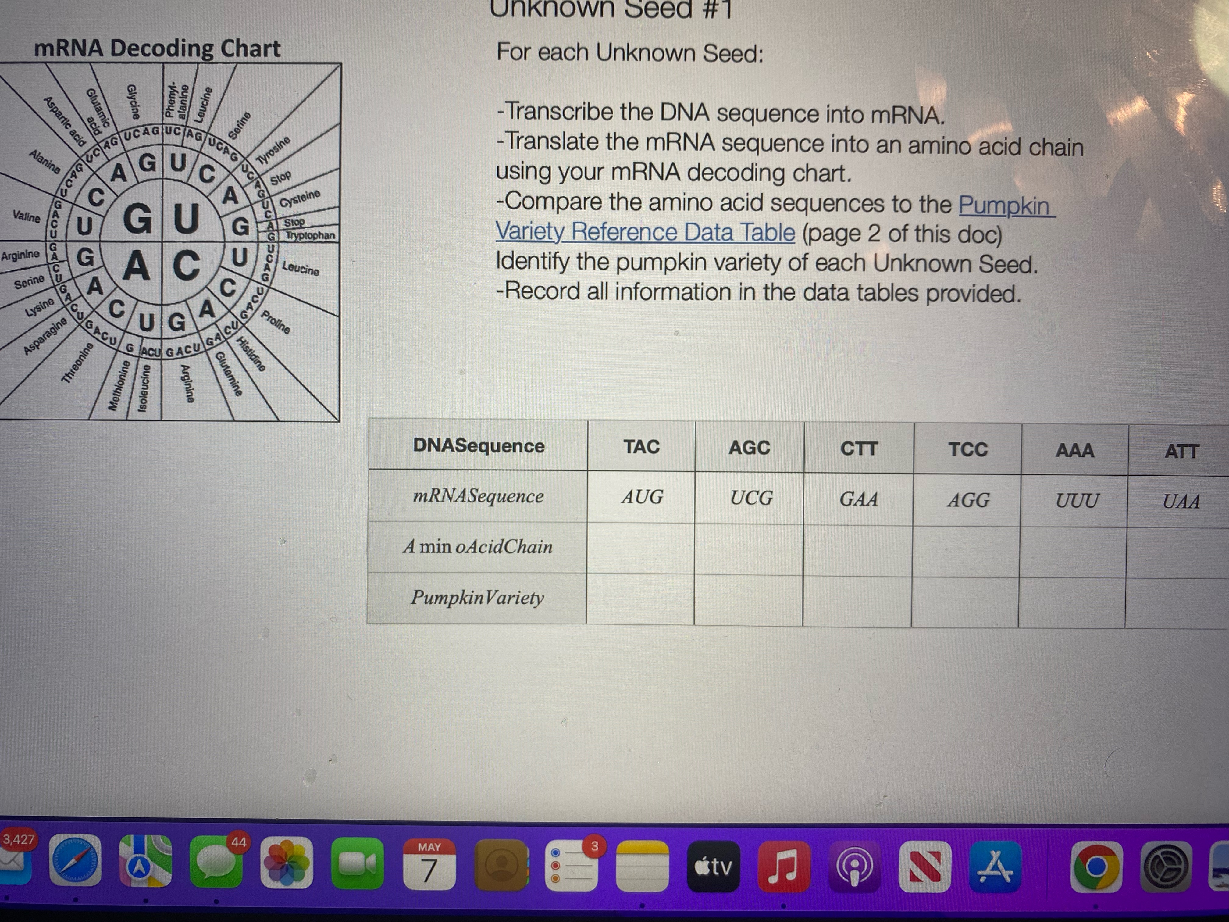 Unknown Seed #1 mRNA Decoding Chart For each
