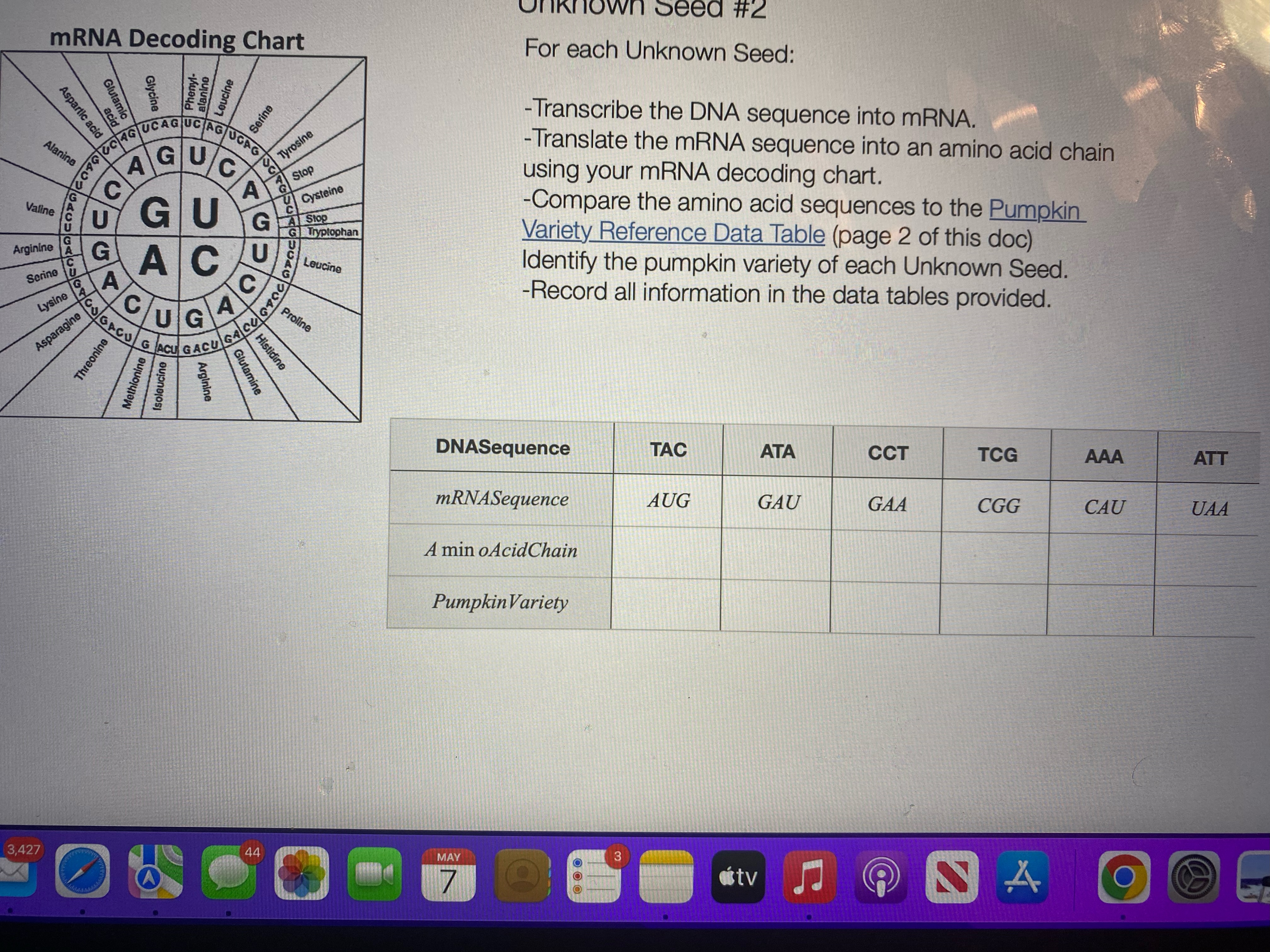 Unknown Seed #1 mRNA Decoding Chart For each