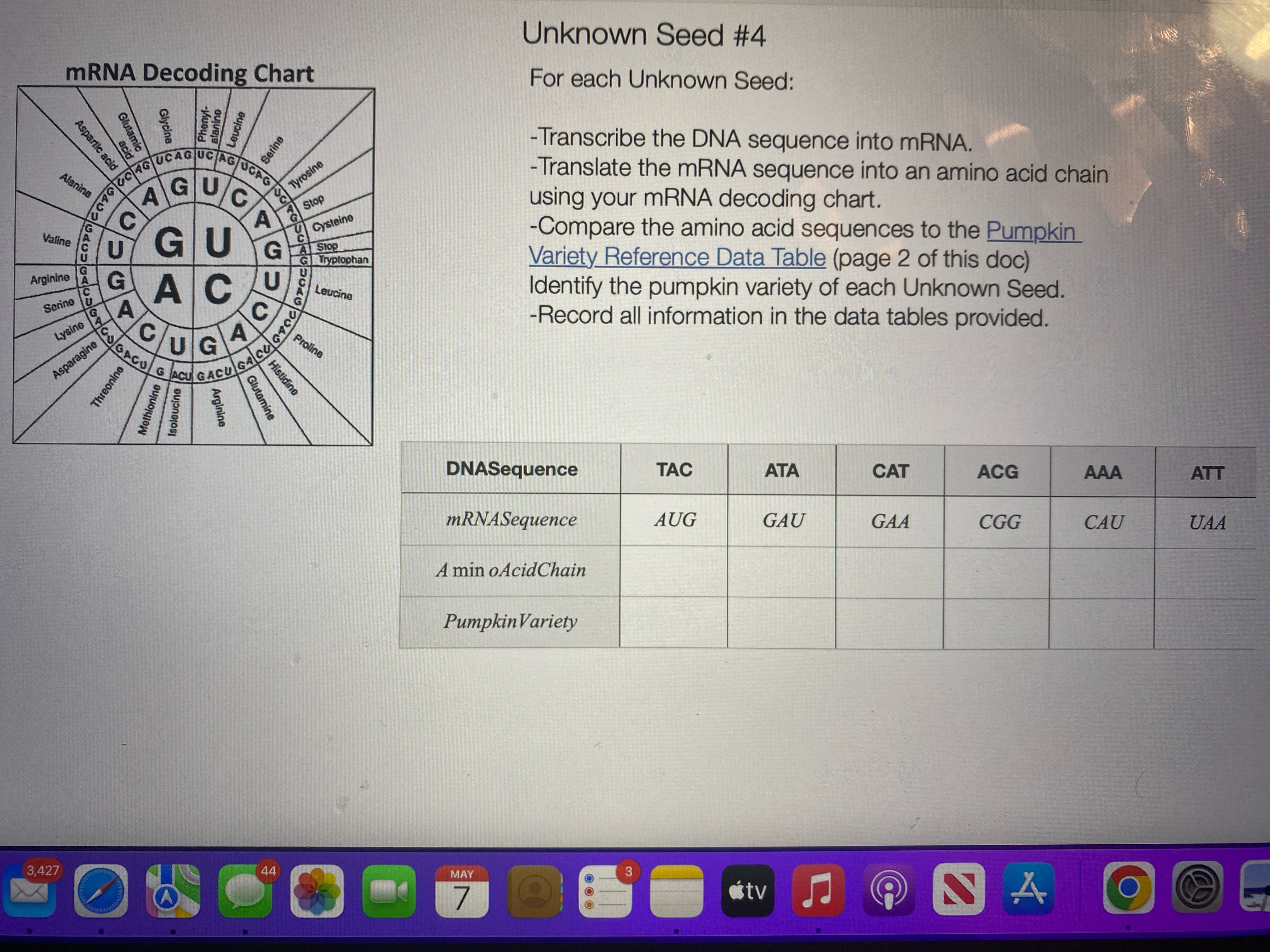 Unknown Seed #1 mRNA Decoding Chart For each
