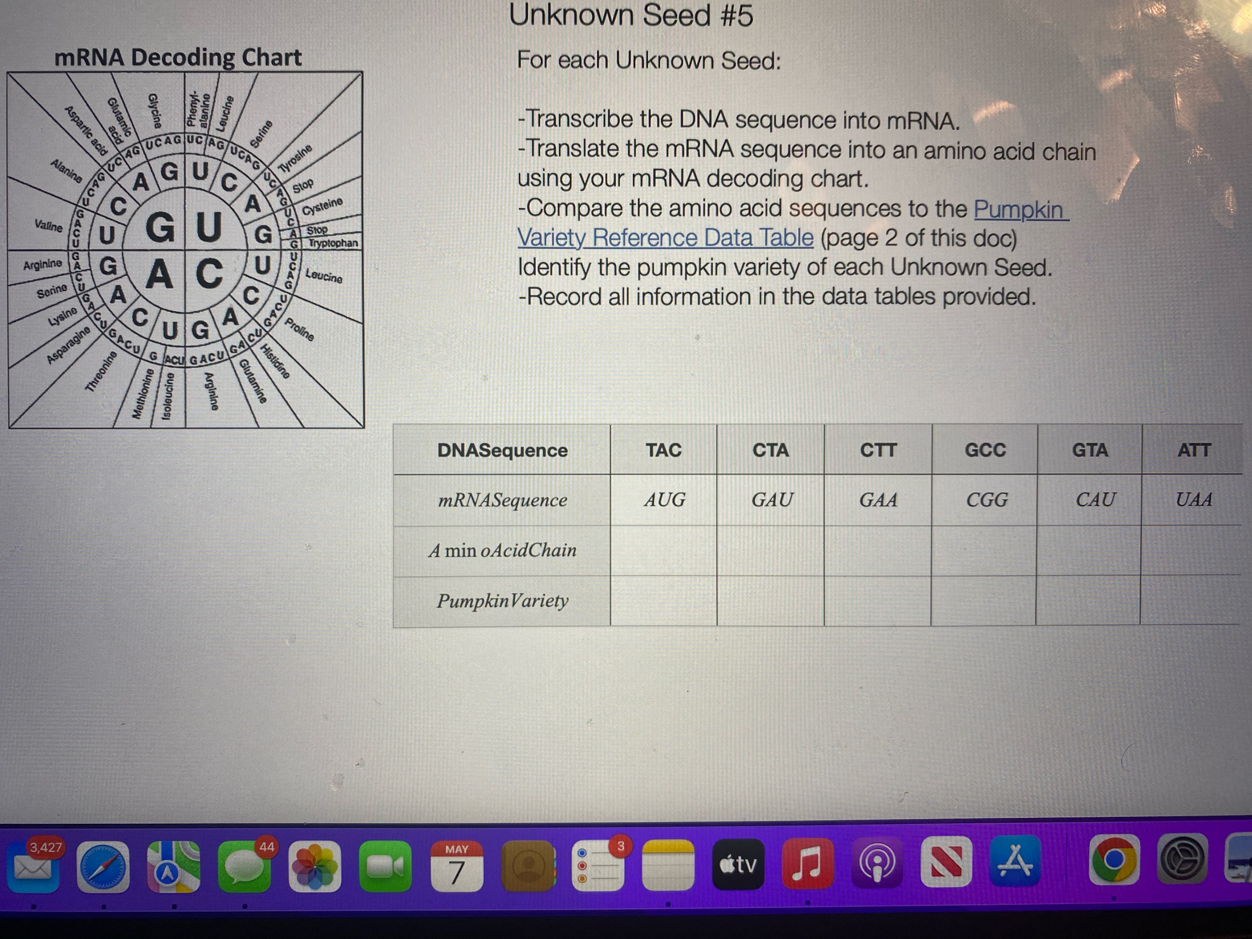 Unknown Seed #1 mRNA Decoding Chart For each