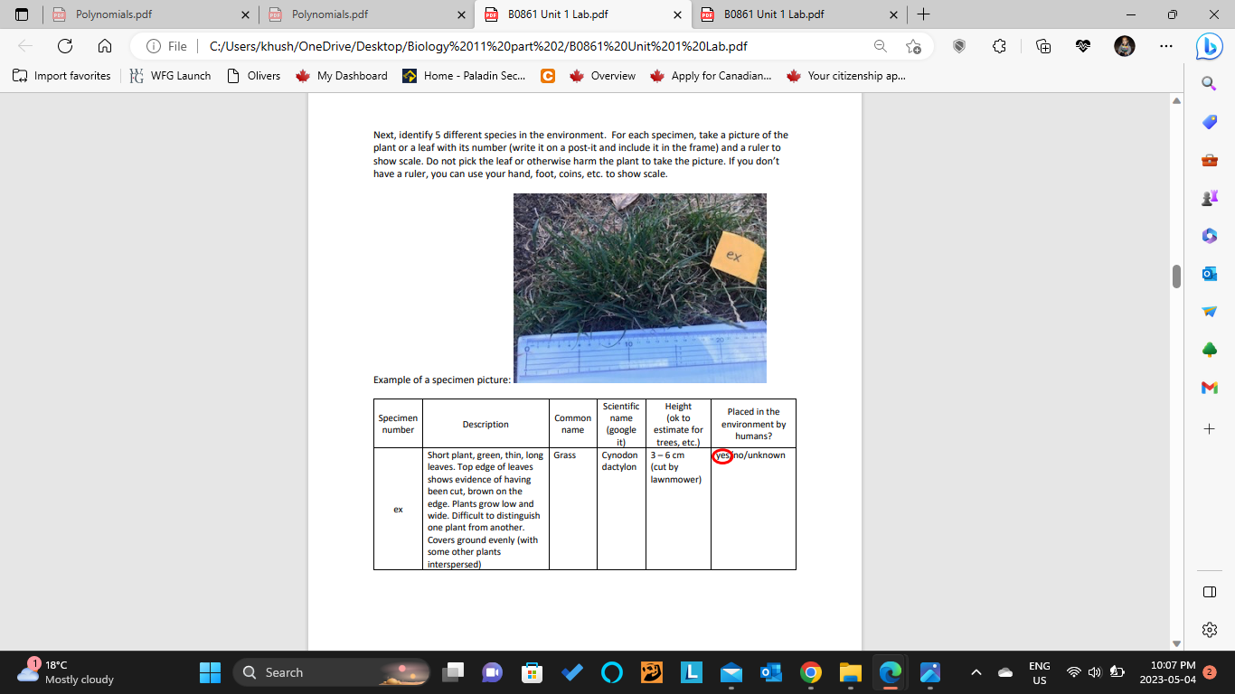 Please write by the hand in a paper please.