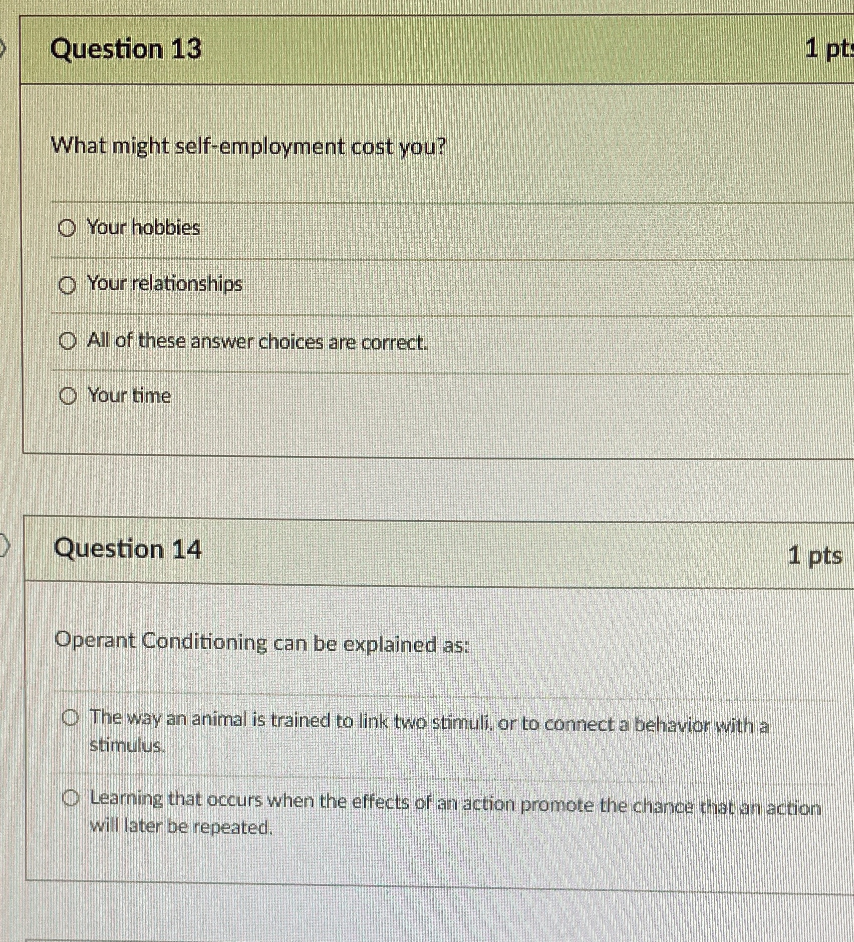 Question 13 1 pt What might self-employment cost