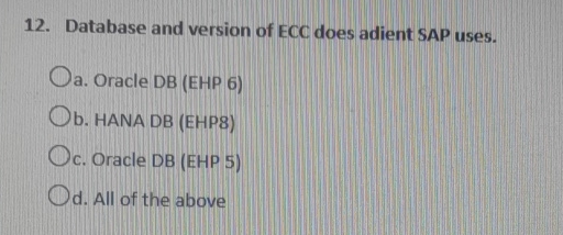 Database and version of ECC does adient SAP uses.
