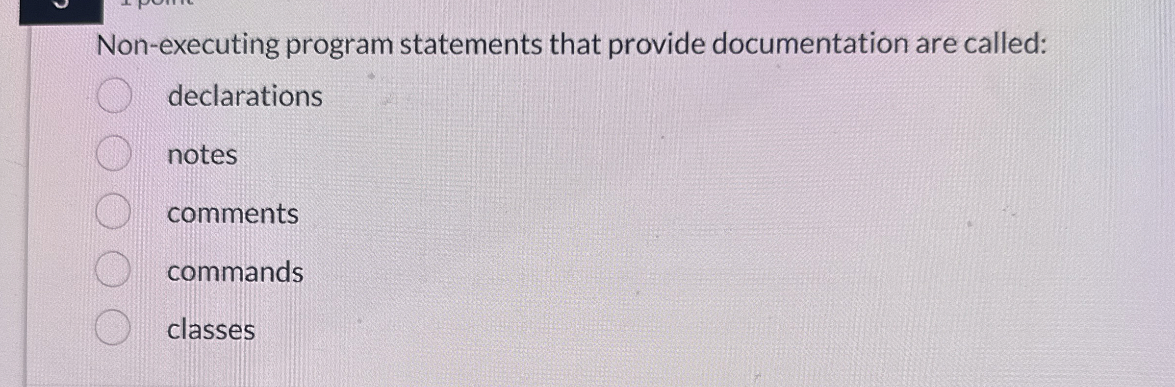 Non - executing program statements that provide