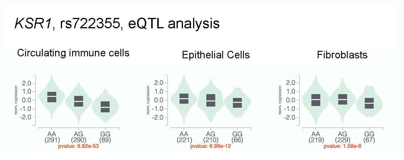 Can someone please help me come up with a figure