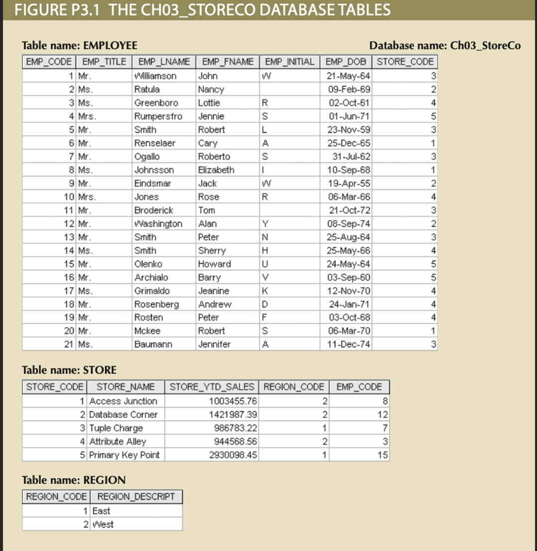 FIGURE P 3 . 1 THE CH 0 3 _ STORECO DATABASE