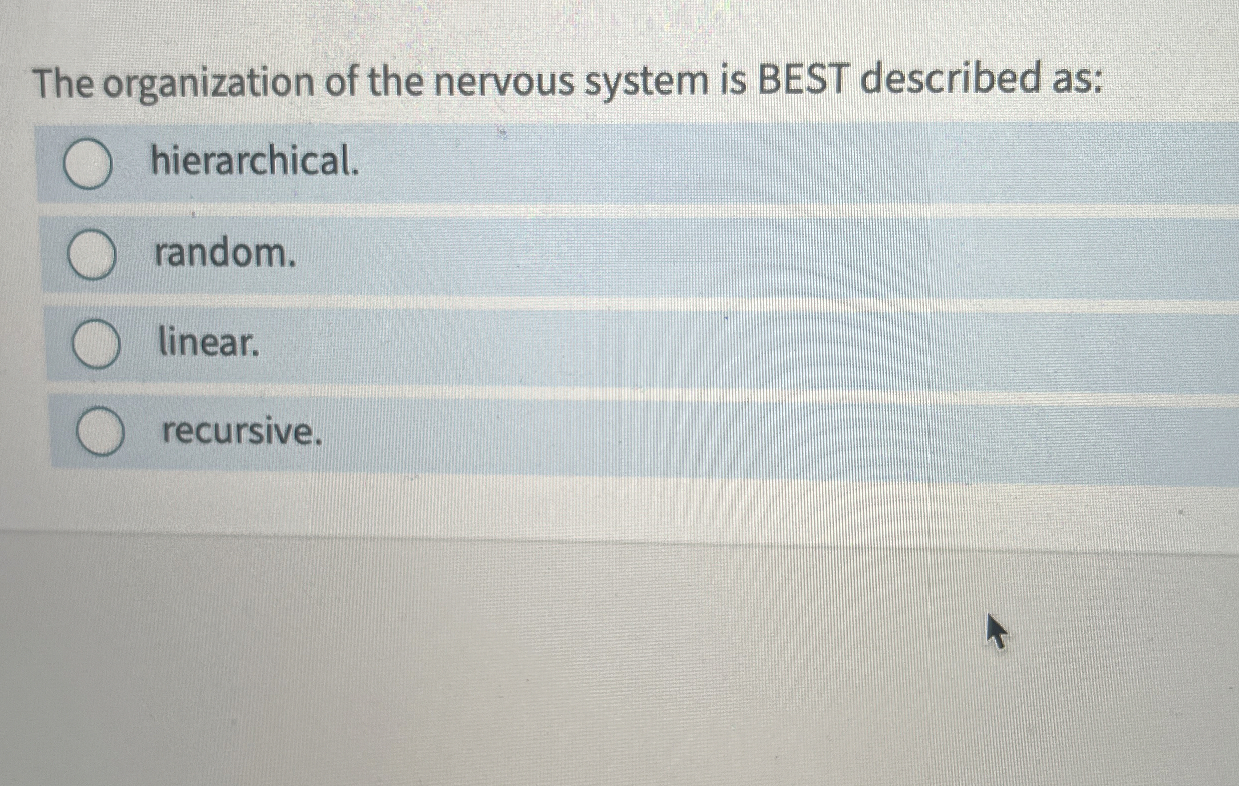 The organization of the nervous system is BEST