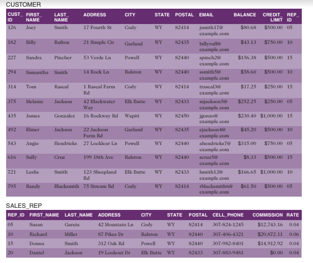 Chapter 7 ( A Guide to SQL ) Use the KimTay Pet