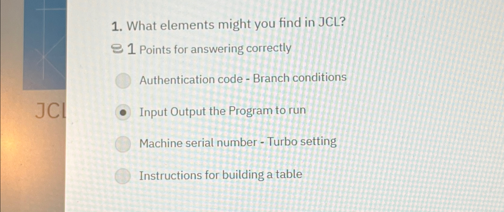 What elements might you find in JCL ? 1 Points