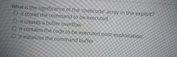 What is the significance of the 'shellicode'