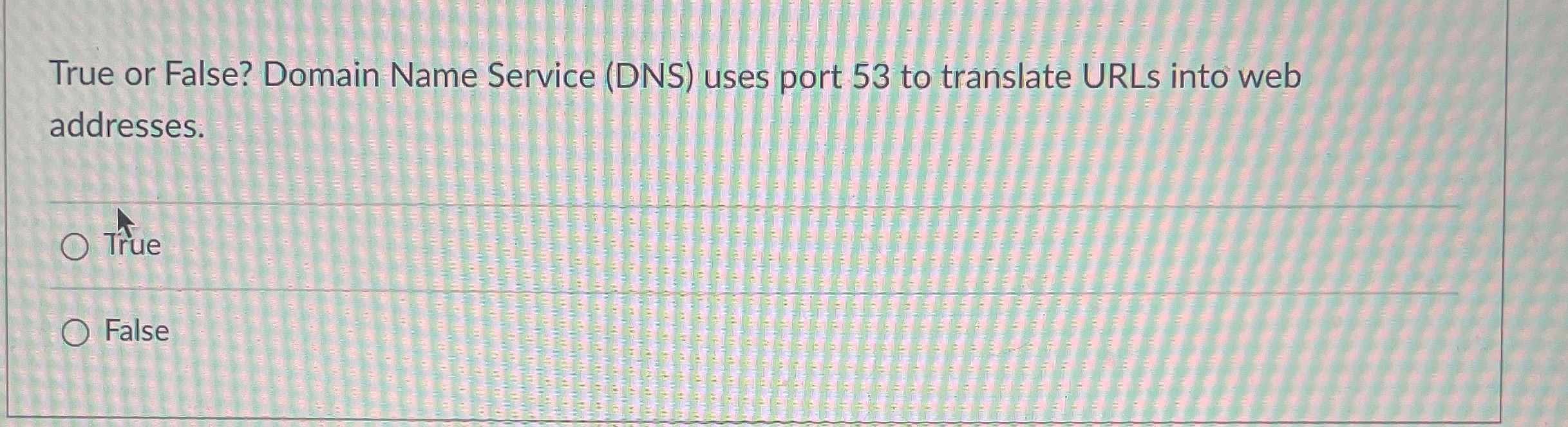 True or False? Domain Name Service ( DNS ) uses