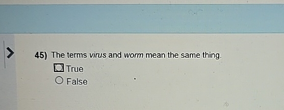 The terms virus and worm mean the same thing.