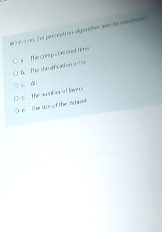What does the perceptron algonithm amt a . The