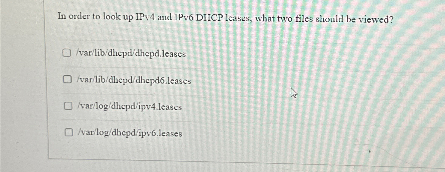 In order to look up IPv 4 and IPv 6 DHCP leases,