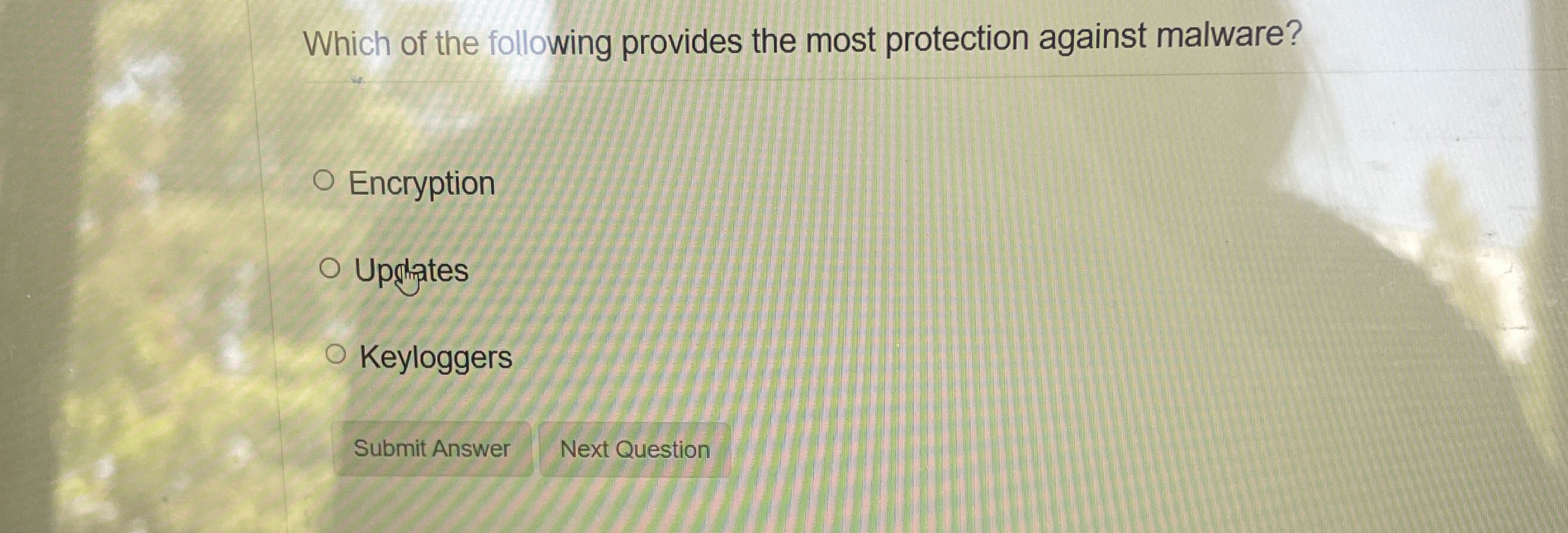 Which of the following provides the most