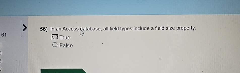 In an Access database, all field types include a