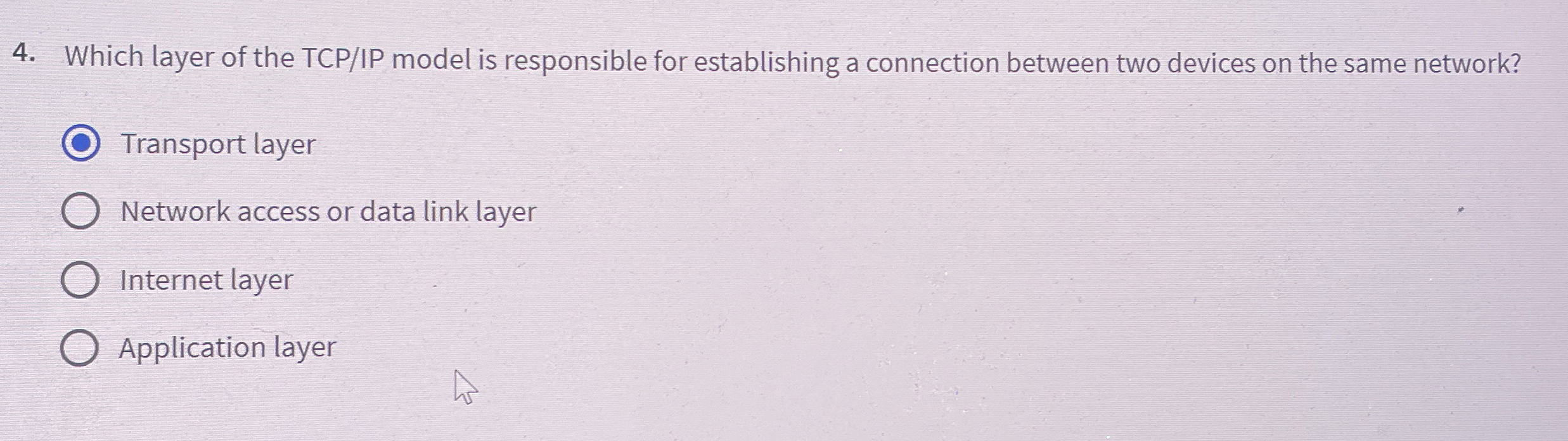 Which layer of the TCP / IP model is responsible