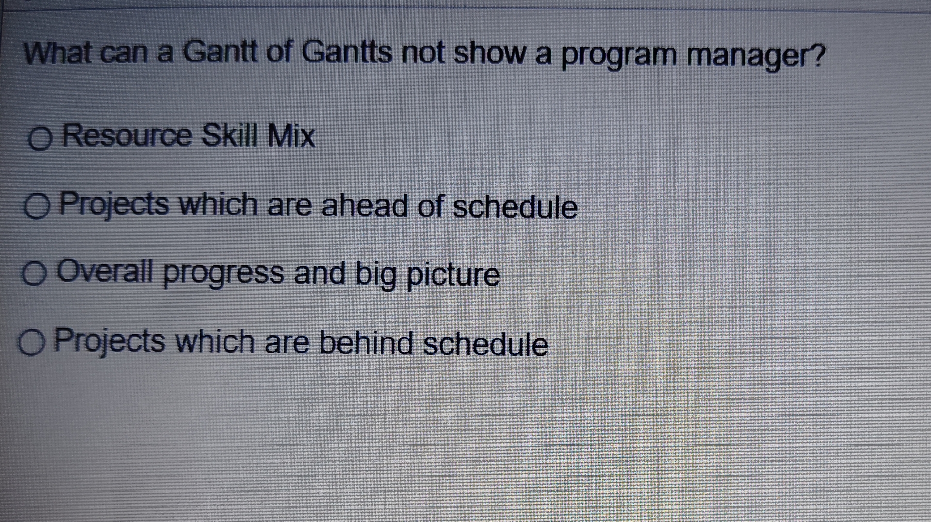 What can a Gantt of Gantts not show a program