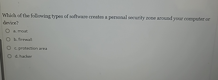 Which of the following types of software creates