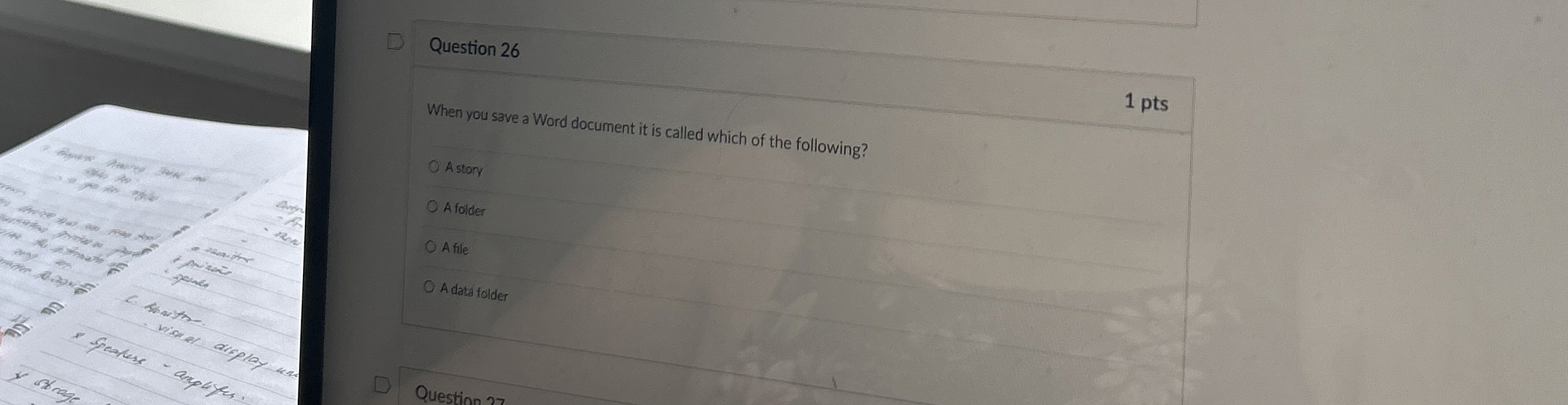 When you sove a Word document it is called which