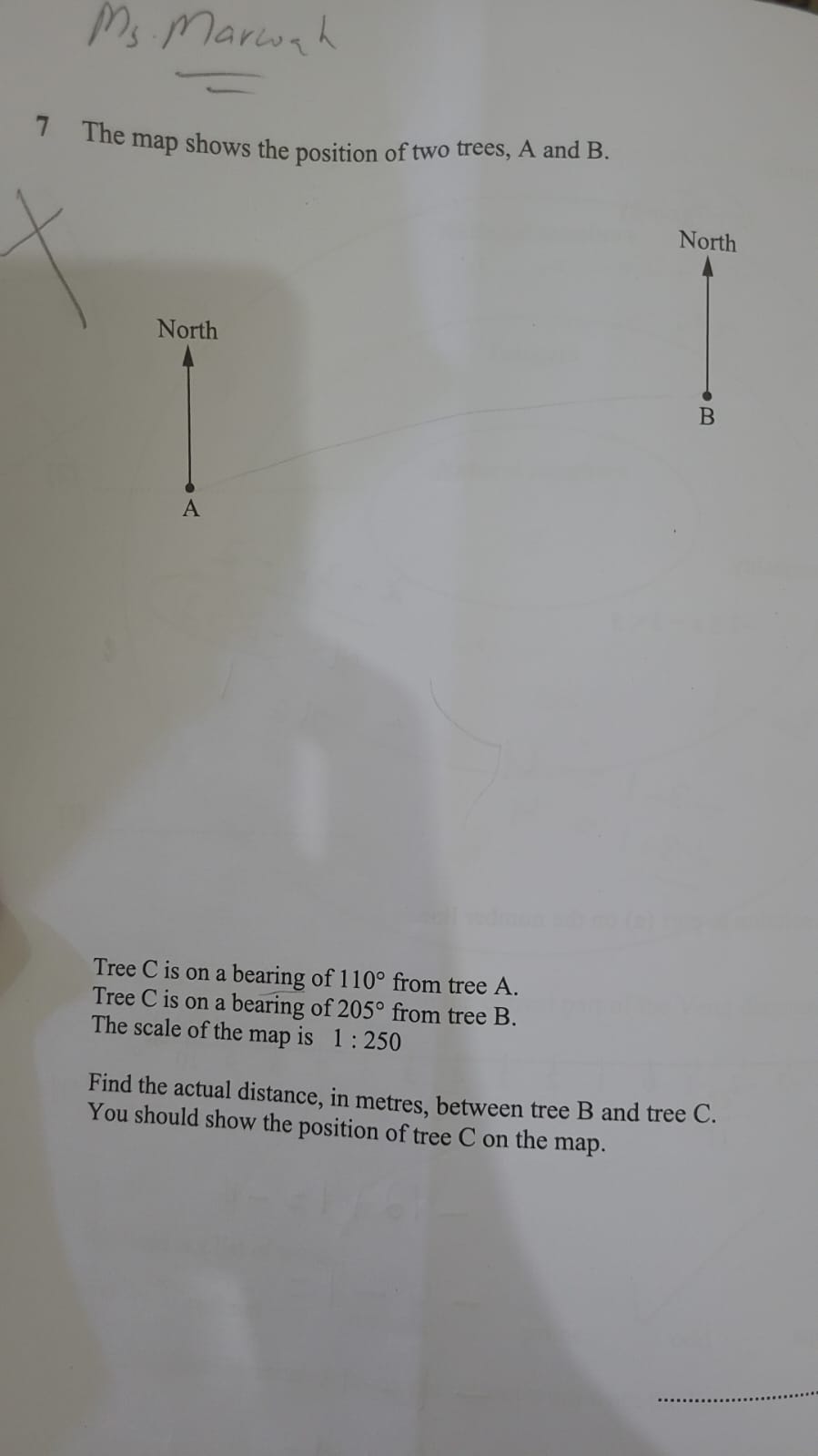 7 The map shows the position of two trees, A and