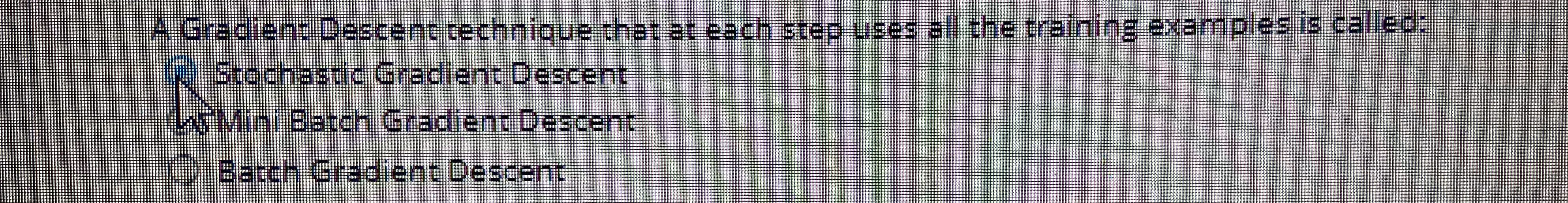 A Gradient Descent technique that at each step