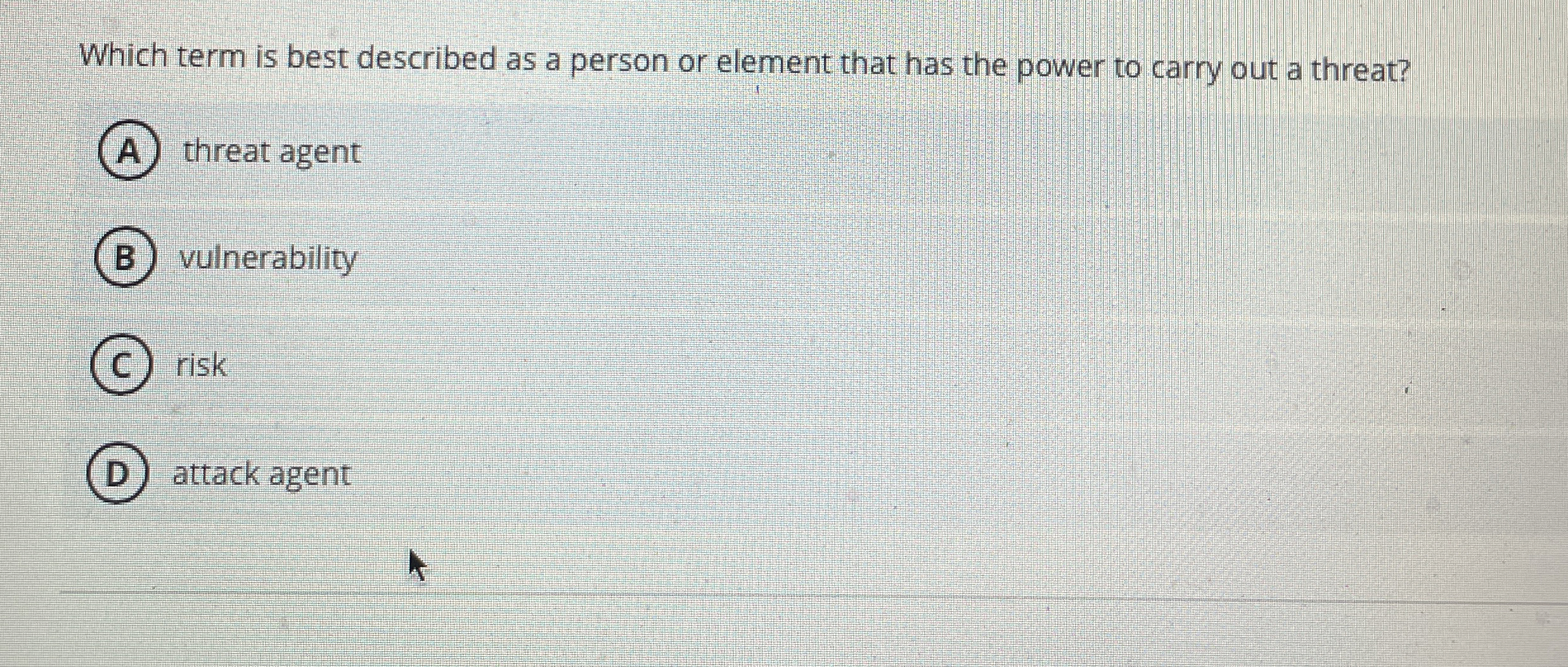 Which term is best described as a person or