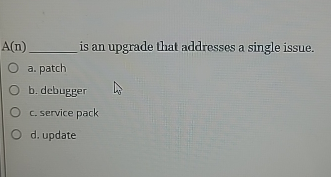 A ( n ) is an upgrade that addresses a single