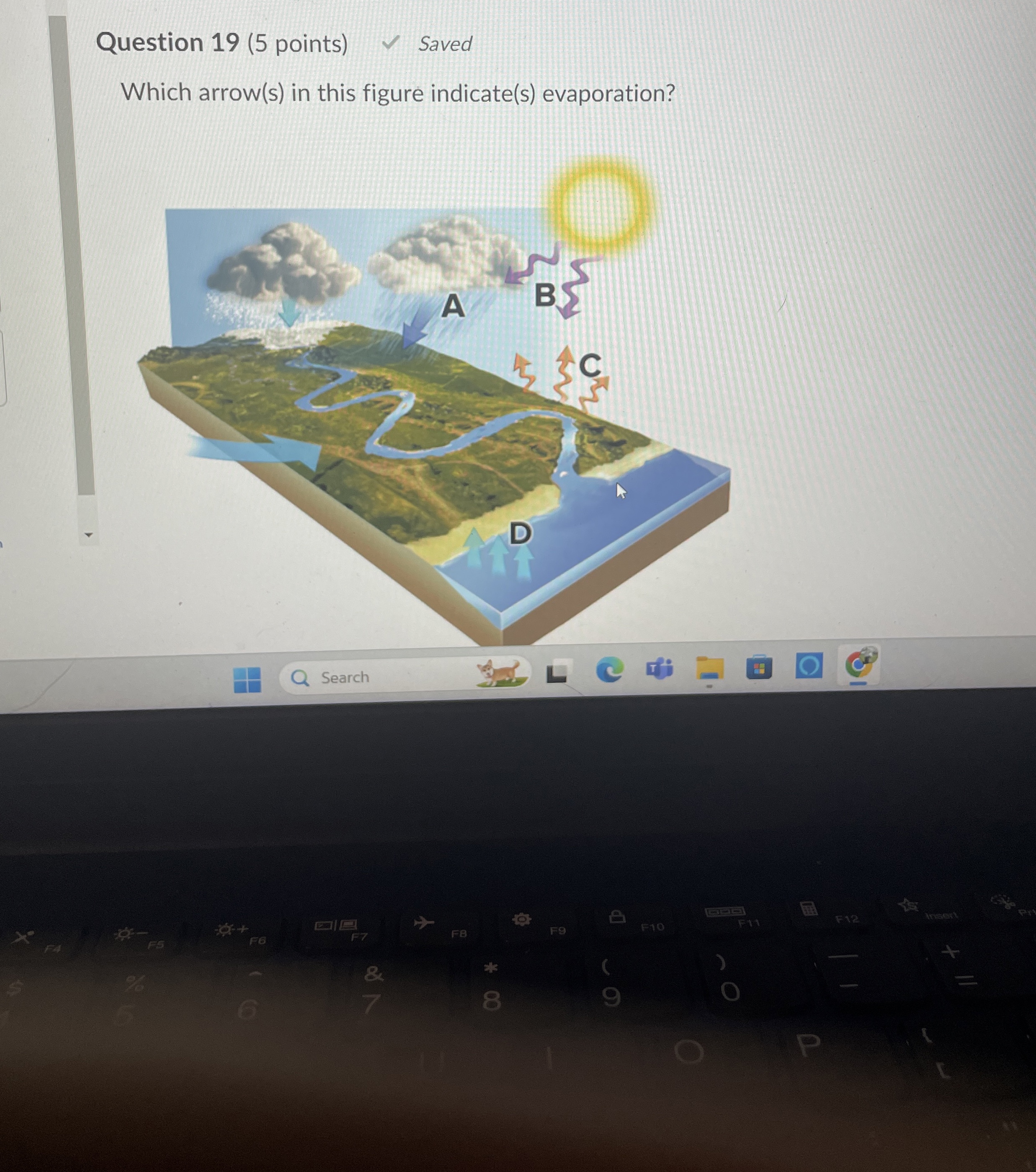 Question 1 9 ( 5 points ) Saved Which arrow ( s )