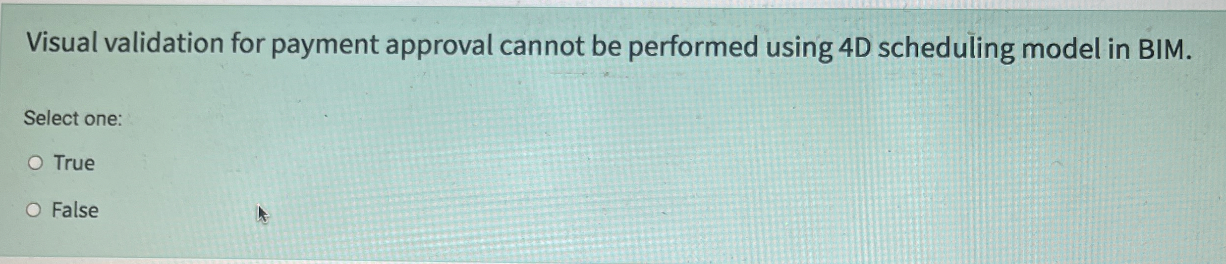 In BIM, it is not just a model, it is Select one: