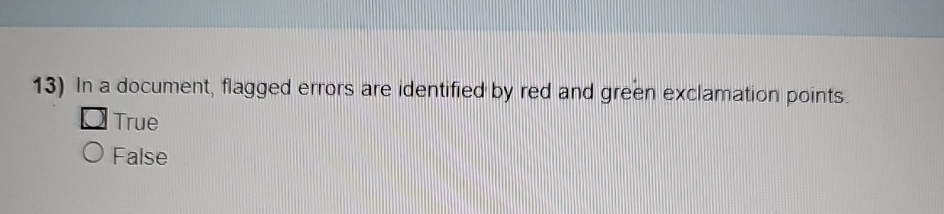 In a document, flagged errors are identified by