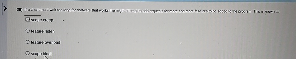 If a client must wait too long for software that