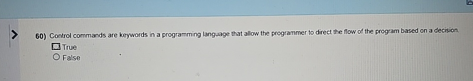 Control commands are keywords in a programming