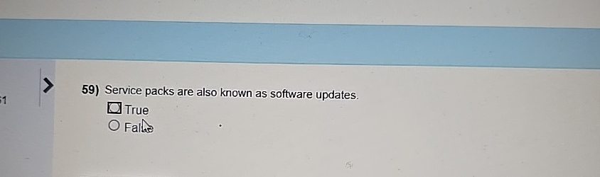 Service packs are also known as software updates.